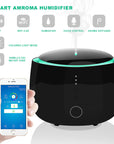 Smart home aromatherapy humidifier