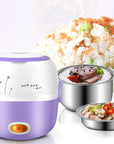 DMWD MINI Rice Cooker Thermal Heating Electric Lunch Box 1/2 Layers Portable Food Steamer Cooking Container Meal Lunchbox Warmer