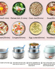 DMWD MINI Rice Cooker Thermal Heating Electric Lunch Box 1/2 Layers Portable Food Steamer Cooking Container Meal Lunchbox Warmer