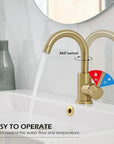 Modern Basin Faucet Gold Basin Faucet Bathroom Taps Single Handle Hot and Cold Sink Mixer Taps Stainless Steel Basin Faucet