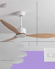 New Scandinavian Industrial Ceiling Fans Without Lights